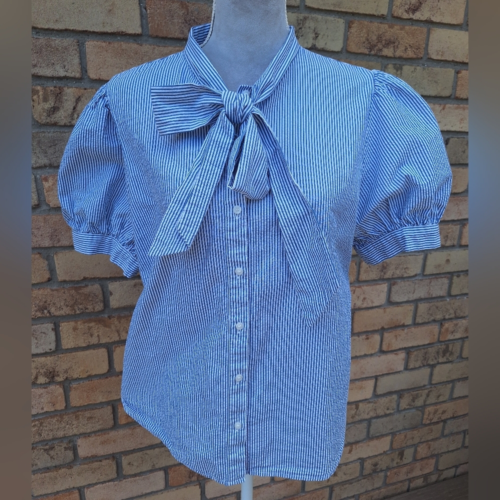 St. John's Bay Blue Striped Blouse